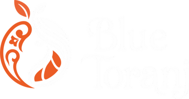Blue Toranj logo Blue Toranj logo